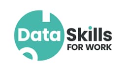 Data Skills for Work